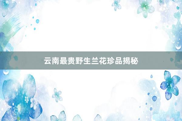 云南最贵野生兰花珍品揭秘
